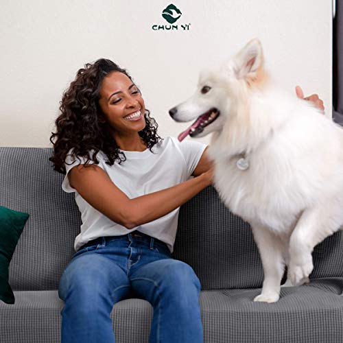 Chun Yi Stretch Oversized Chair Sofa Slipcover 1 Piece Couch Cover, 1 Seater Settee Coat Soft With Elastic Bottom, Checks Spandex Jacquard Fabric, Chair And A Half, Light Gray #TOP5