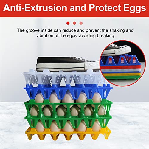 Boîtes à œufs empilables x8 en plastique | Rangement 240 pièces éleveur