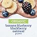 Gerber Stage 2 Baby Food, Organic Banana Blueberry Blackberry Oatmeal, Baby Food Pouches, Puree Pouches, Choline & DHA Helps Support Brain Development, No Artificial Flavors or Colors