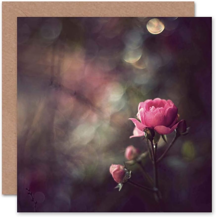 Wee Blue Coo Bokeh Rose Flower Photograph Pink Spring Blank Greetings Birthday Card Art, Brown|yellow|red|peach