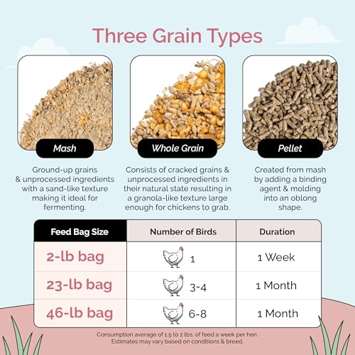 Mile Four Organic Chicken Feed – Layer Whole Grain, Non-GMO, USA Grown, 16% Protein, Corn-Free, Soy-Free, Non-Medicated Feed for Chickens, 23 lbs
