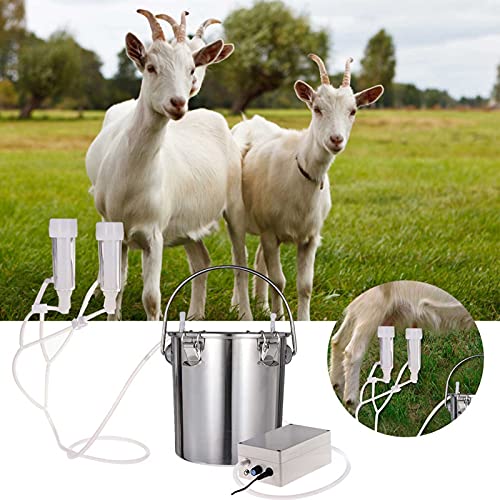 Machine à traire de chèvre et mouton électrique portable de 3L - 5