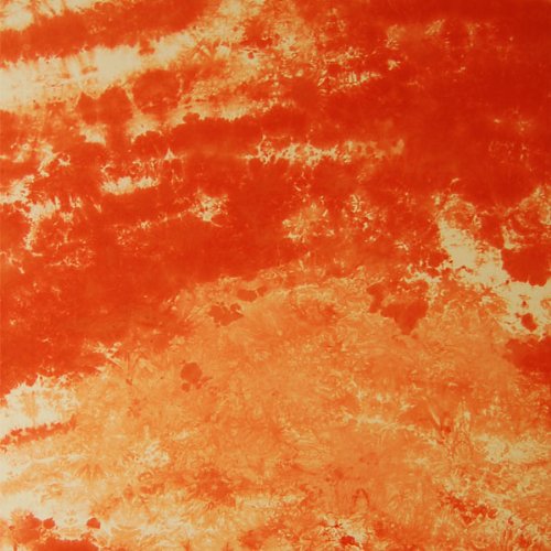 Limostudio Old Master Orange Photo Video Studio Collapsible Backdrop Background Panel Disc, Agg1062 #TOP1