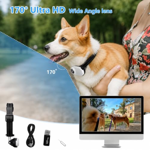Image of Updated Cat Collar Camera,Pet Sport Camera with Video Records,Wireless Mini Body Small Cam HD 1080P Security Cameras Outdoor /Indoor Puppy Supplies /Stuff Birthday Gift No WiFi Needed