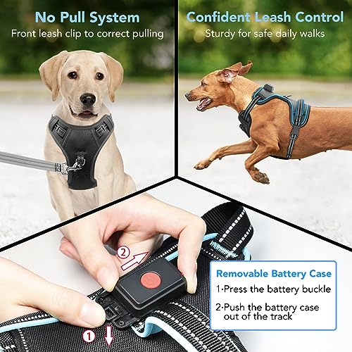 Image of Light Up Dog Harness, Rechargeable LED Dog Vest for Night Walking