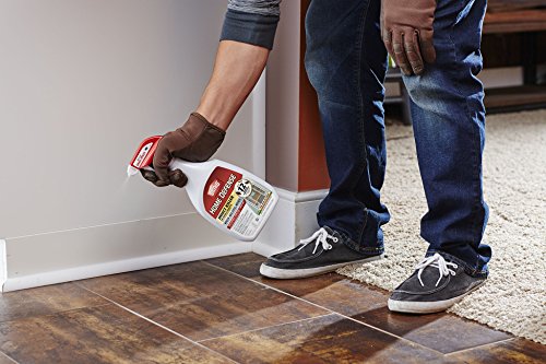 Ortho 0221310 Home Defense Insect Killer For Indoor & Perimeter 2 Ready-To-Use, 24 Oz #TOP19