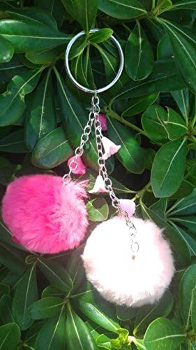 pompon y flores
