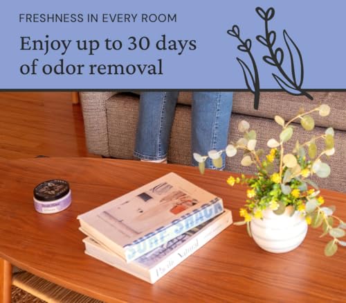 Image of Fresh Wave Odor Removing Gel, Original 15 oz. & Lavender 7 oz.| Safer Odor Absorbers for Home | Natural Plant-Based Odor Eliminator | Every 7 oz. Lasts 15-30 Days | for Cooking, Trash & Pets