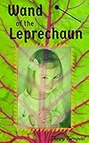 Wand of the Leprechaun: A Gender Bending Age Regression Tale