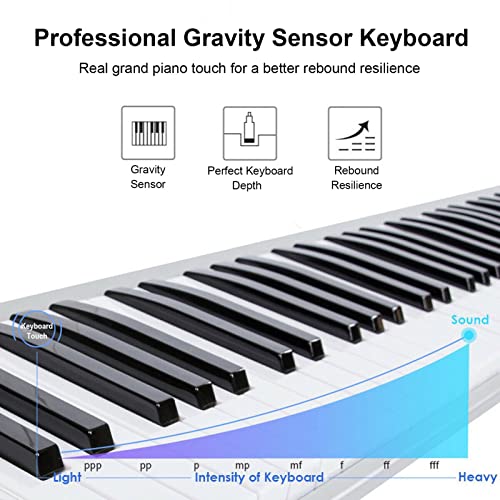 61 Touches Piano Numérique Pleine Taille Touches Sensibles À La Gravité Clavier Électronique Portable Piano Bluetooth MIDI Avec Sac À Main Adaptateur Secteur for Débutants Adultes Enfants - Les Beatles, Paul McCartney, John Lennon, RIngo Starr, George Harrison 61 Touches Piano Numérique Pleine Taille Touches Sensibles À La Gravité Clavier Électronique Portable Piano Bluetooth MIDI Avec Sac À Main Adaptateur Secteur for Débutants Adultes Enfants – Image 5