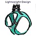 Pawtitas Dog Vest Harness Made with Breathable Air Mesh | All Weather Vest Harness for Extra Extra Small Puppies and Cats with Quick-Release Buckle - Extra Extra Small Teal Mesh Dog Harness
