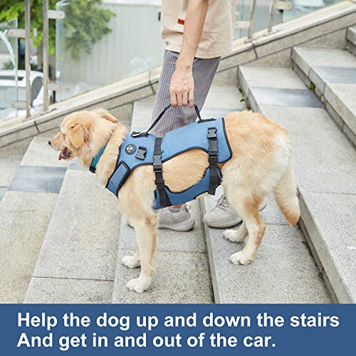 Coodeo Dog Lift Harness, Support & Recovery Sling, Pet Rehabilitation Lifts Vest Adjustable Breathable Straps for Old… - Image 4