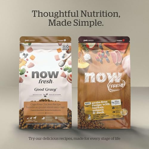 Image of Now Fresh Senior Dry Dog Food, Turkey, Salmon & Duck, 3.5 lb | Grain-Free and Chicken-Free Kibble for Small Dogs with Real, Fresh Meat, Supports Digestive Health & Weight Management