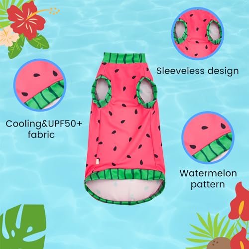 SNIXFEVER Sphynx Cat Watermelon Shirt &Sun Hat for Summer, Cooling Breathable UPF 50+ Shirt for Cats & Small Dogs Apparel, Shirt and Hat Set for Cats (M (3.5-5.5lbs)), Pink by SNIXFEVER - Used condition - Image 2