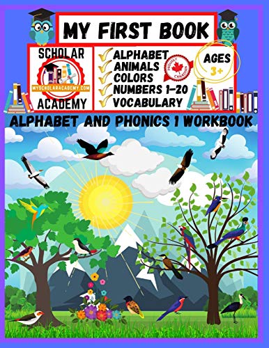 My First Book: The Alphabet and Phonics 1 Workbook (Scholar Academy)