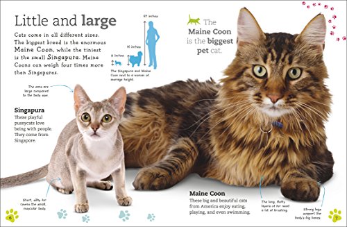 The Everything Book Of Cats And Kittens (Everything About Pets) #TOP2