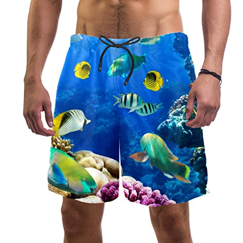 Short de plage JDEZ le monde des poissons pour vos vacances