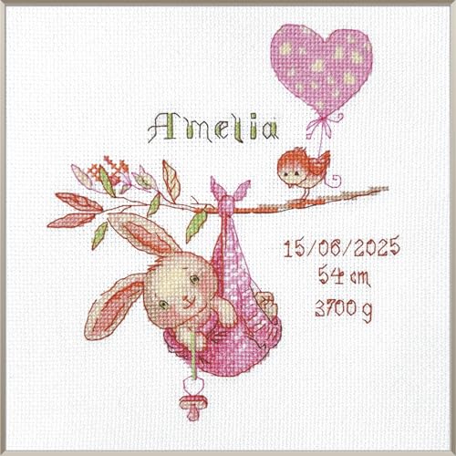 Aine - Girl Birth Sampler A1029, Baby Girl Birth Record Announcement Cross Stitch Kits 7¾