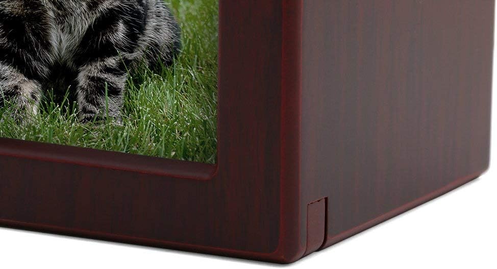 Near & Dear Pet Memorials MDF Pet Photo Cremation Urn, 25 Cubic Inch, Cherry Finish