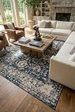 Rugs.com Oregon Collection Rug – 8' x 11' Blue Low-Pile Rug Perfect for Living Rooms, Large Dining Rooms, Open Floorplans