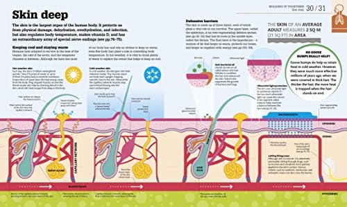 How the Body Works: The Facts Simply Explained
