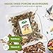 Mushroom House Mushroom Bag, Dried Porcini, 8 Ounce