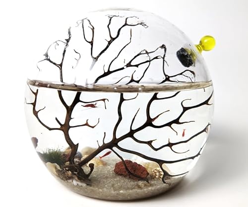 Glass Self Sustaining Shrimp Ecosphere Small