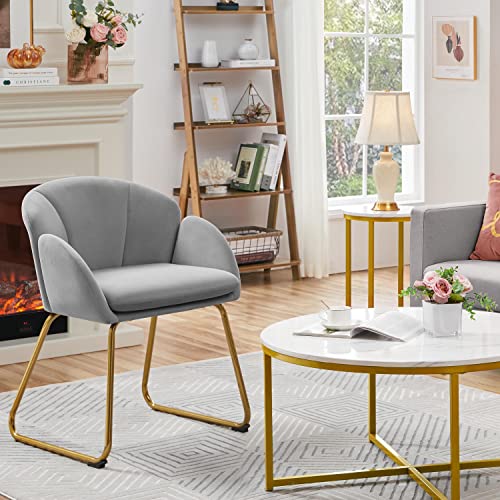 Yaheetech Flower Shape Velvet Armchair, Modern Side Chair Vanity Chair With Golden Metal Legs For Living Room/Dressing Room/Bedroom/Home Office/Kitchen, Gray #TOP1