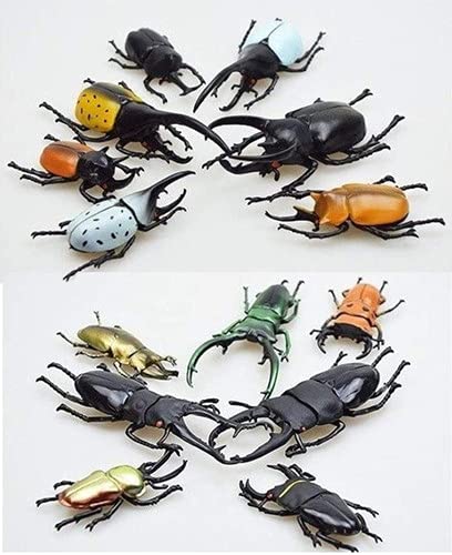 Amazon.co.jp: 昆虫いっぱいセット カブト・クワガタ 闘虫コレクション