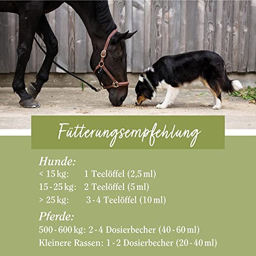 tierlieb Sanct Bernhard Hanföl | Für Hunde & Pferde | Natürlich & kaltgepresst | Mit Omega-3, Omega-6 & Vitamin E | Kontrollierte Qualität | 1000ml