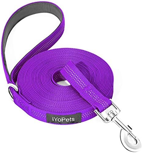 best backyard dog leash