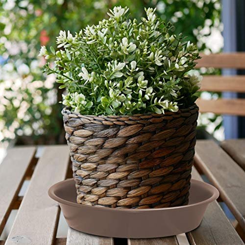 Qdbnw Plant Saucers 12 Inch Of 3 Pack Brown Heavy Duty Thicken Durable Plastic Drip Trays Great For Large Plants For Indoor Or Outdoor Garden #TOP5