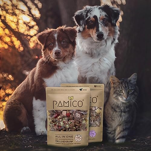 PAMICO Trockenbarf All in One Sensitive mit Huhn, Lamm, Fisch, Zucchini, Gurke und Brombeere 500g - 100% gefriergetrocknet, Barf Hundefutter ohne Zusätze getreidefrei
