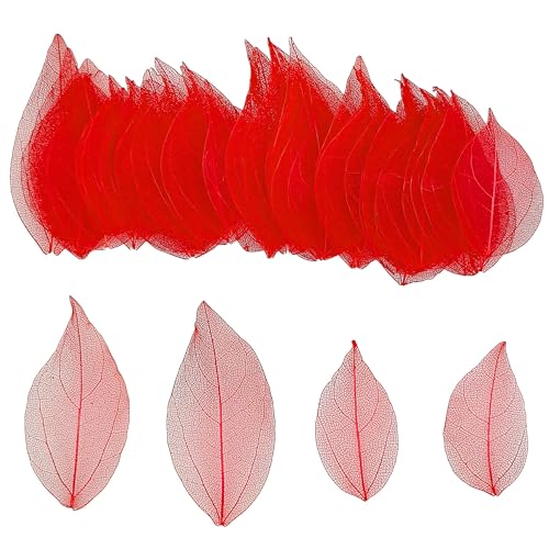 HAOBIN 50 Pezzi Foglie Di Scheletro Naturali Foglie Secche Scheletriche Foglie Essiccate Al Naturale Foglie Secche Miste Utilizzato per il mestiere di diy scrapbook craft card making (Rosso)
