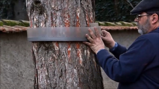 Écopiège® Collier ø180 Cm Vissage Solupin – Piège Chenilles Processionnaires Du Pin Professionnel