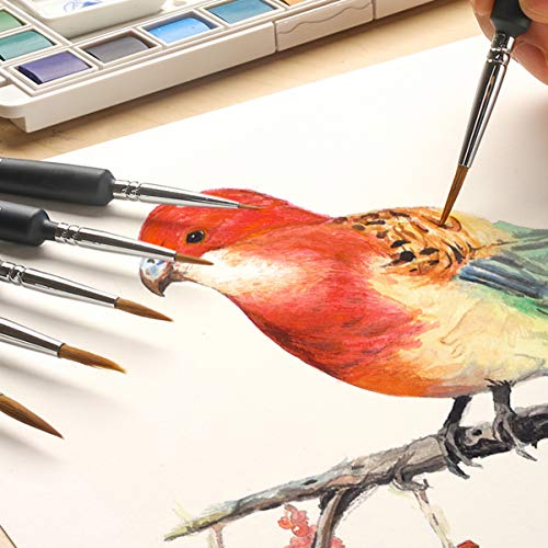 Toyandona 3 Pcs Wolf Hair Brushes Set Detail Art Painting Miniatures Acrylic Watercolor Oil Paint Brushes (000 + 00 + 0) As Shown #TOP6