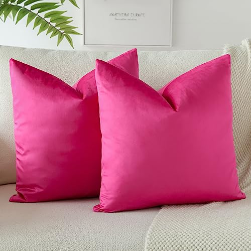 OTOSTAR Pack of 2 Velvet Soft Decorative Throw Pillow Covers 18 x 18 Inch Solid...