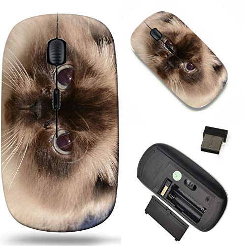 Wireless Mouse 2.4G Black Base Travel Wireless Mice with USB Receiver, Noiseless