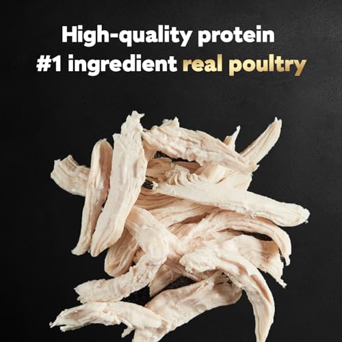 Image of Cesar Classic Loaf in Sauce Adult Wet Dog Food Poultry Lovers Variety Pack with Real Chicken,Turkey or Duck,3.5 oz Easy Peel Trays,36 Count (Pack of 2)