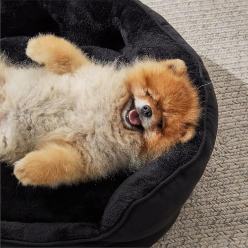 Image of Velvet Dog Bed Washable Cat Beds for Indoor Cats and Puppy, Black Dog Bed Sofa for Dogs,Gift for Dogs and Cats,Round Bed.