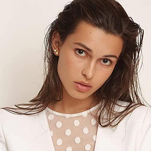 Adramata 18G Stainless Steel Cartilage Stud Earrings for Women Men Screw Back Cartilage Tragus Helix Earrings Small CZ Moon Star Stud Flat Back Earrings Piercing Jewelry Set 20 Pcs