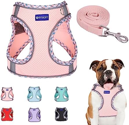 Step in Mesh Dog Harness and Leash Set Breathable Air Mesh Reflective Escape Proof Dog Harness Vest No Choke Lightweight Mesh Dog Harness