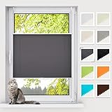 BelleMax Plissee ohne Bohren Klemmfix, Anthrazit 80x100cm (BxH), Easyfix lichtdurchlässig Sichtschutz Sonnenschutz, Jalousie Plisseerollo mit Klemmträger, Faltrollo für Fenster & Tür