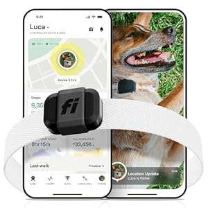 Fi Mini GPS Tracker for Dogs — 12-Month Membership Included — Smart Pet Tracking Collar Attachment — Lightweight, Virtual Fences, Escape Alerts, Step & Health, Waterproof