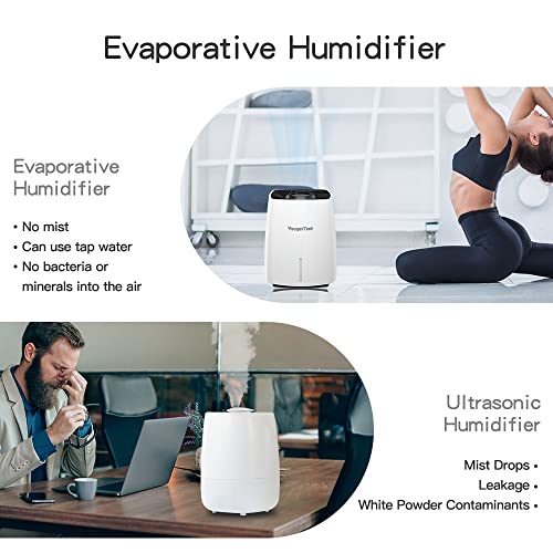 20 Best Evaporative Humidifiers Of 2024(Reviews & Comparison) BDR