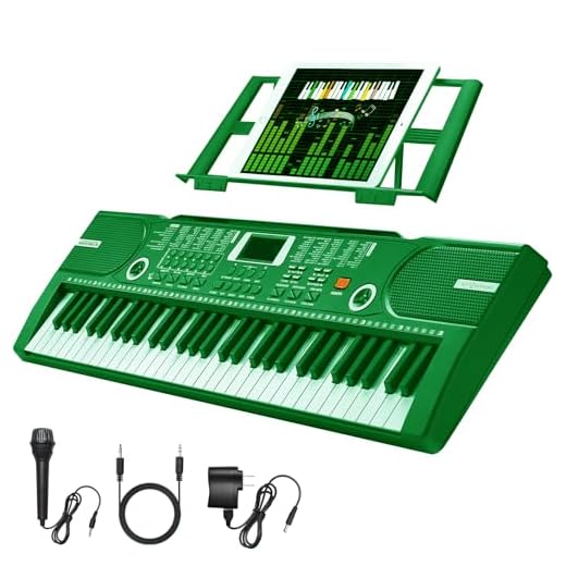 61 Key Keyboard Piano, Portable Electronic Keyboard Piano for Beginners
