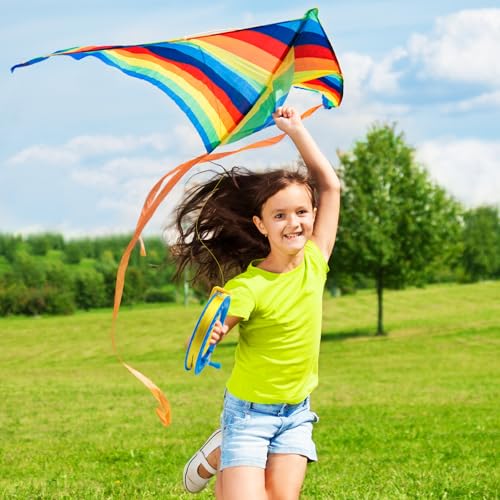 Zatixbu Drachenschnur aus Edelstahl - 300m Robuste Drachenschnur Spule mit Sicherheitsverriegelung, Verstellbare Leinenlänge, Ergonomischer Griff, Outdoor-Kite-Zubehör