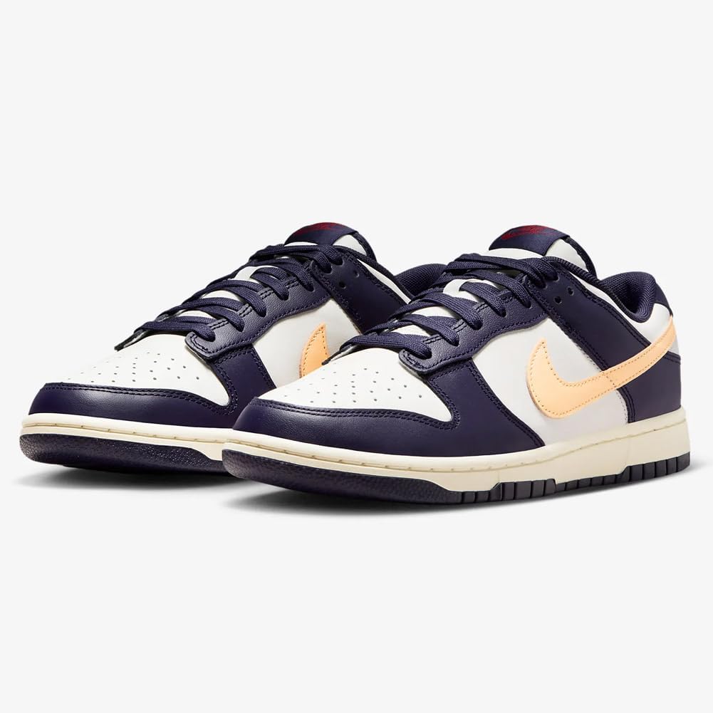 Nike Dunk Low Retro Men's Shoes