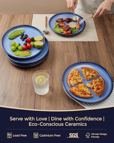 Image of Pokini Ceramic Dinner Plates Set of 6, 10inch Salad, Dessert Plates Dishes | Reactive Glaze Stoneware Dish Set, Dinner Plate for Dessert, Salad, Appetizer, Microwave & Dishwasher Safe, Scratch Resistant