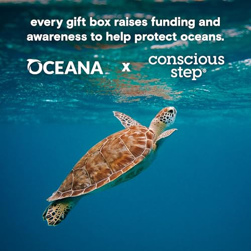 Image of Conscious Step Women's Fair Trade Organic Cotton Crew Socks | 3 Pack | Every Pair Helps Support our Humanitarian Partners
